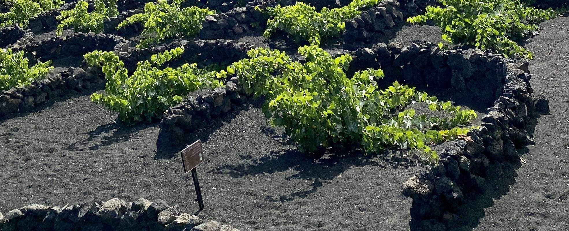 Retreat Lanzarote Retreat Lanzarote