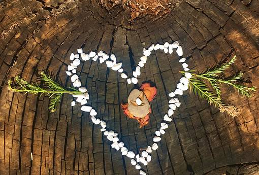 Nähre deine wilde Seele in der Stille des Herbstes. Auszeit im Allgäu: Natur erleben & Innenschau