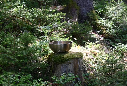 Mit dir im Einklang - RETREAT für deine persönliche Auszeit und Regeneration