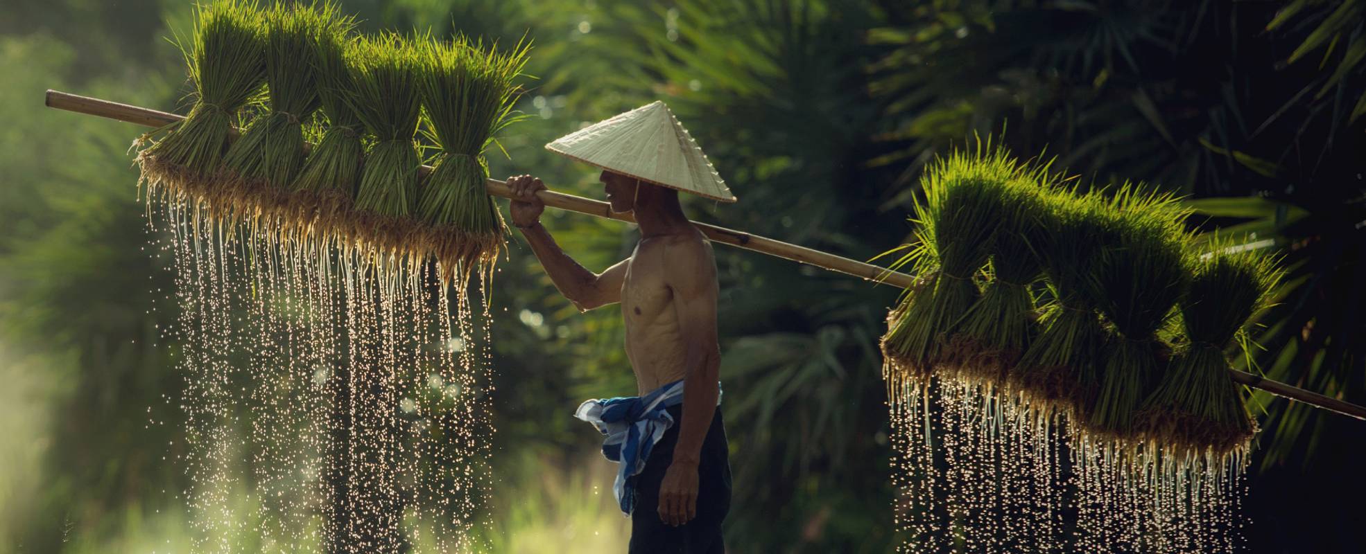 Retreat Asien Retreat Asien