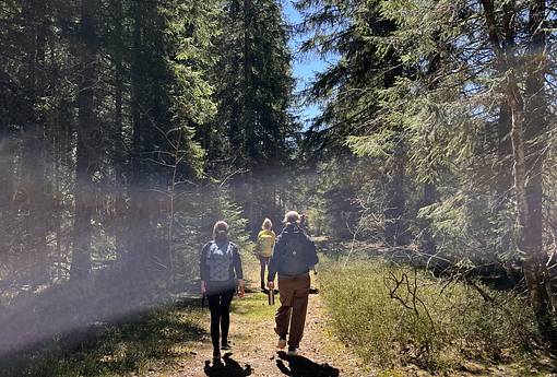 Silent Mountain & Yoga Retreat