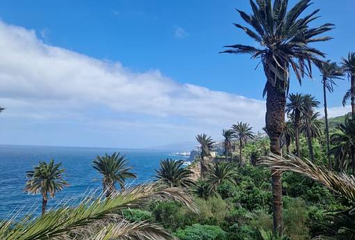 Führung beginnt im Körper - Frauen-Retreat auf Teneriffa Führung beginnt im Körper - Frauen-Retreat auf Teneriffa