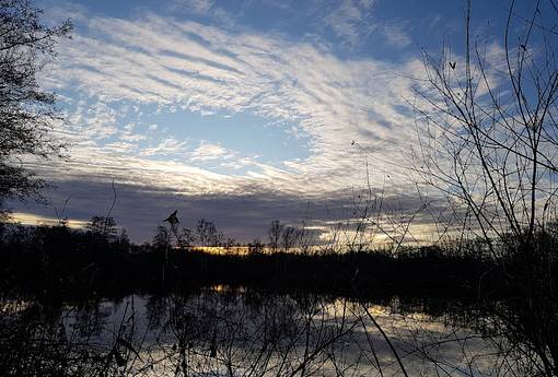 Zur Ruhe kommen -Schweigeretreat kurz vor Weihnachten