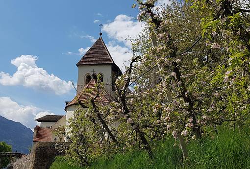 Frühlingsauszeit in Meran – 5 Tage sanftes Wandern für Frauen