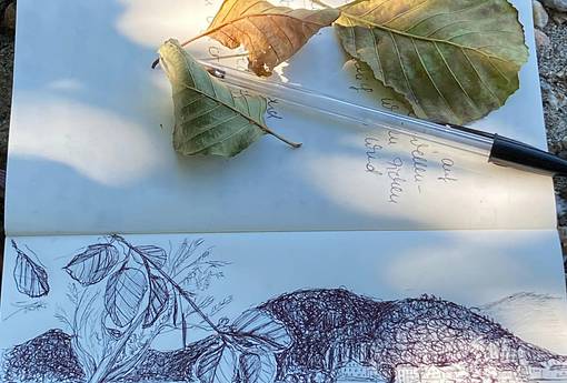 Meditatives Zeichnen - in der Stille der Bergwelt kreativ sein Meditatives Zeichnen - in der Stille der Bergwelt kreativ sein