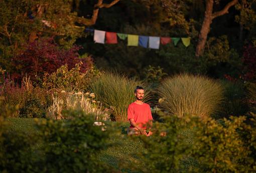 5-Tage Stille Light Retreat | Tanzende Stille: Qi Gong, Zen & Somatics im Zillertal (April & September)