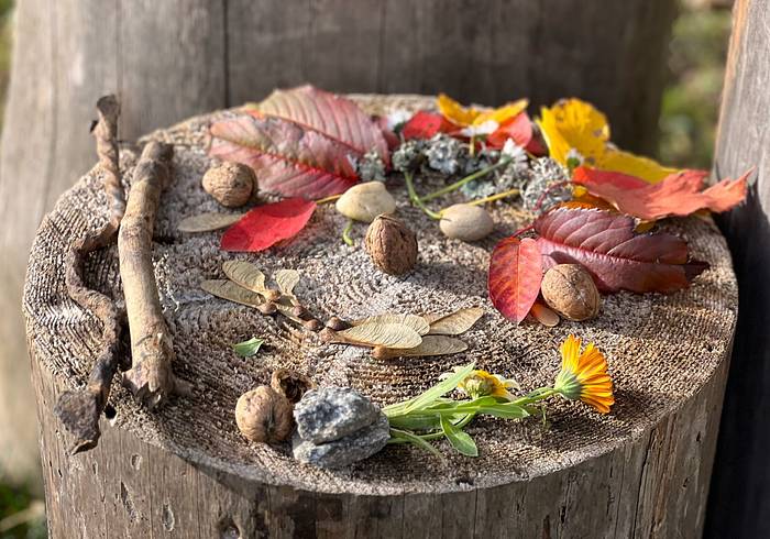 Landart - ein Element des Waldbadens