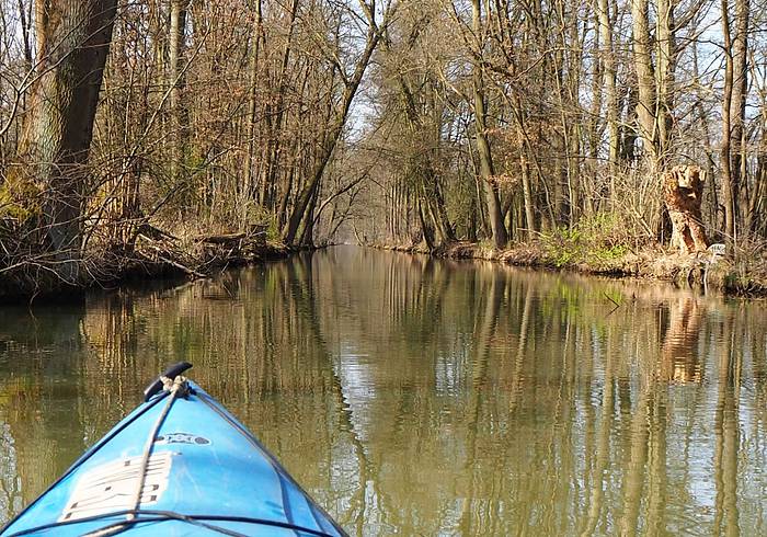 Paddeln im Biosphärenreservat Spreewald