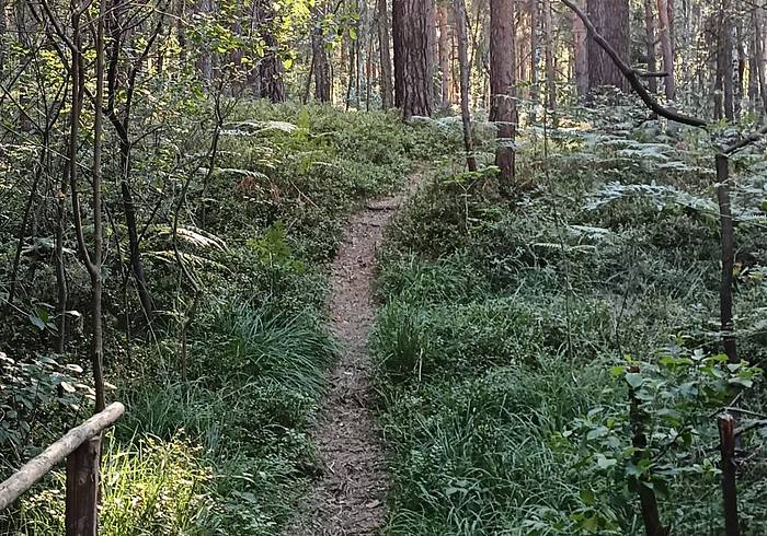 Die Calauer Schweiz - ein abwechslungsreiches Naturgebiet