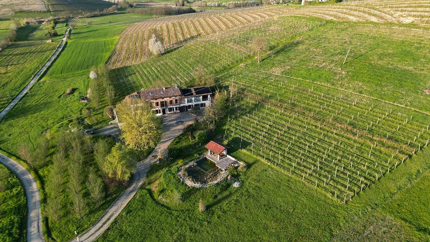 Weingut Fausano