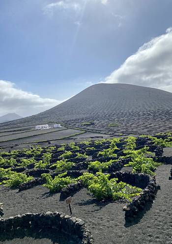 Lanzarote