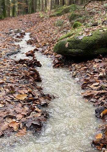 Herbst