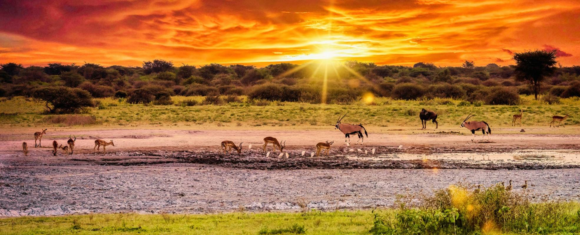 Retreat Botswana