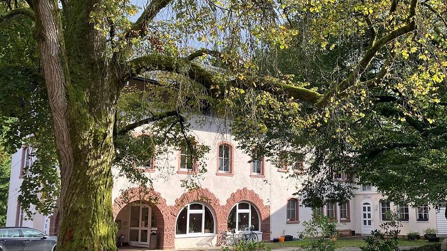 Hofgut Rineck Hofgut Rineck