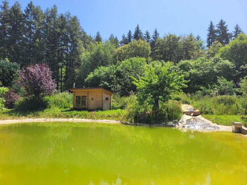 3 Tage Yoga Retreat zum Auftanken und Kraft schöpfen in schönem Seminarhaus im Schwarzwald