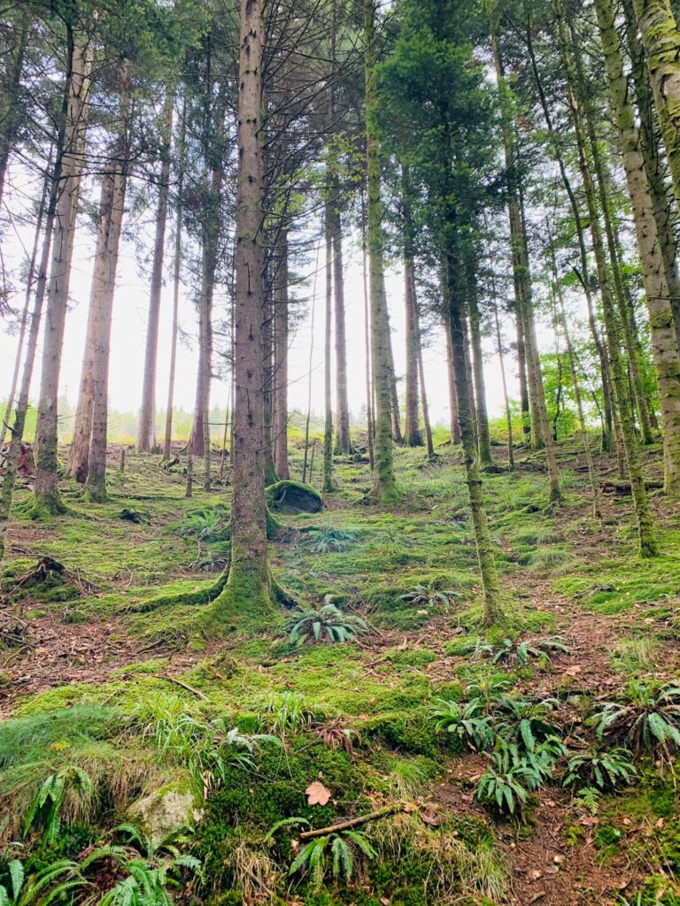 4 Tage Yoga Wochenende in zauberhaftem Vogesenhof, Region Schwarzwald - Elsass