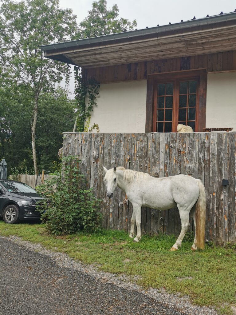 4 Tage Yoga Wochenende in zauberhaftem Vogesenhof, Region Schwarzwald - Elsass