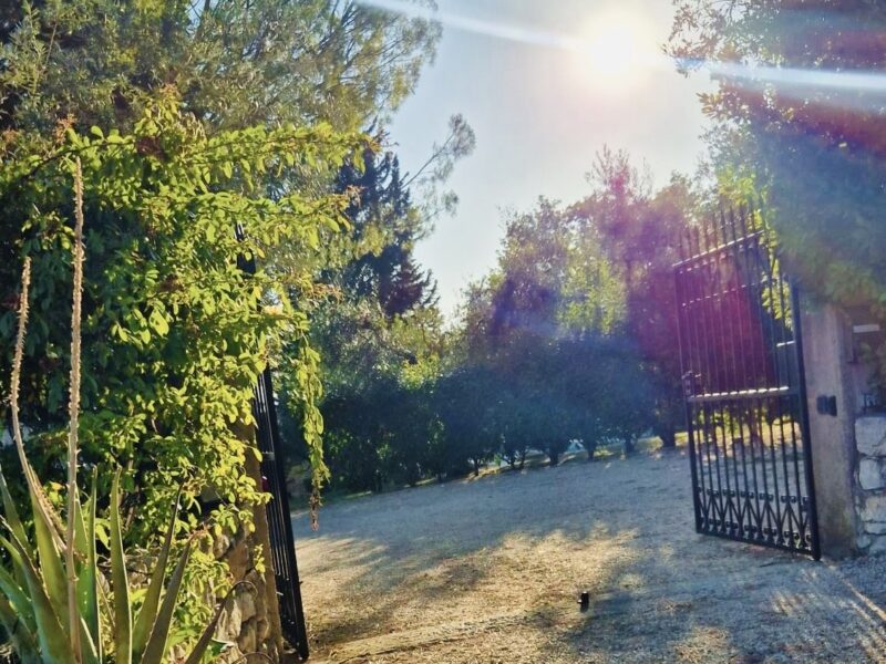 RECONNECT ITALY SUMMER RETREAT 2026