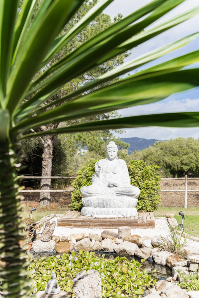 Relax Your Soul Retreat