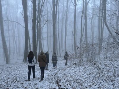 reconnect Bostalsee winter retreat 2026