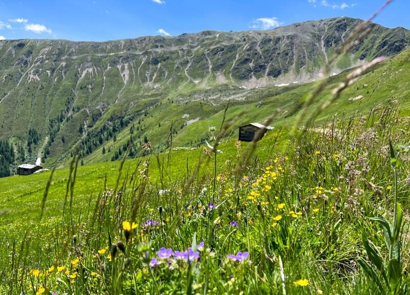 WanderRetreat Tirol - BergBaden & Almzauber