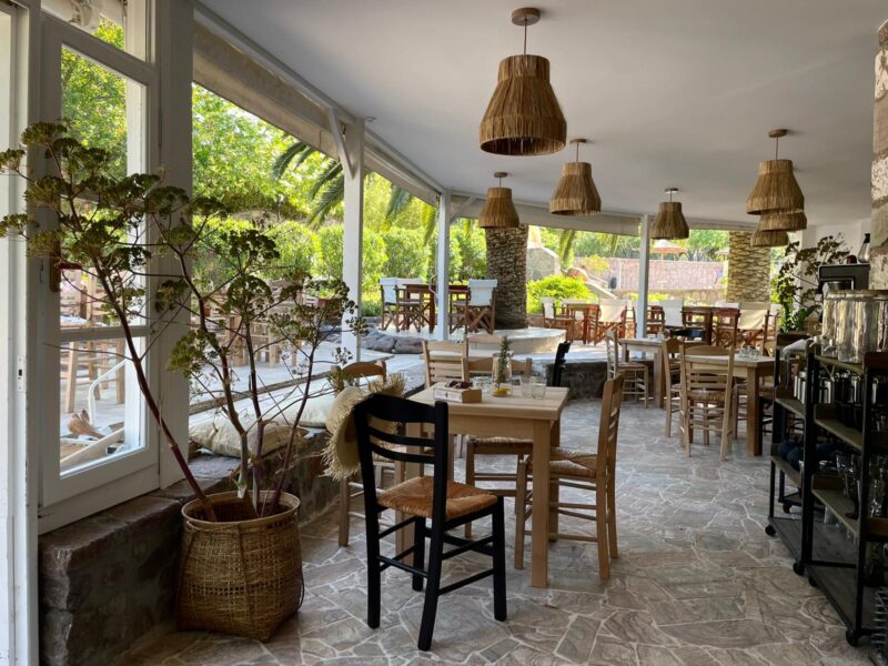 "Souljourney" Achtsamkeit & Coaching & Kreativität