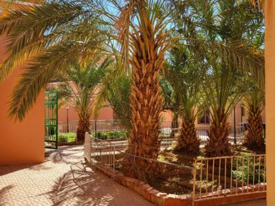 Wüsten-Retreat - Wandern in Stille durch die marokkanische Sahara