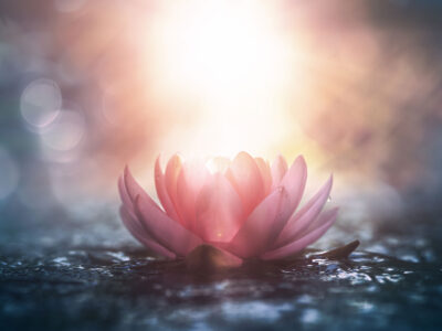 3 Tage Auszeit mit Meditation, Achtsamkeit, Klang & Wellness im RETTER 4*Superior Bio-Natur-Resort