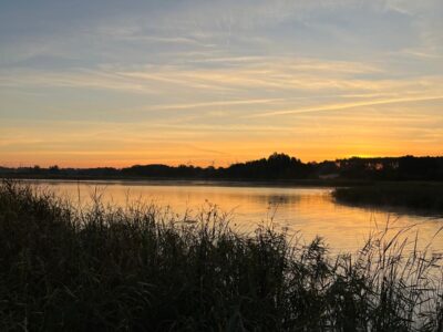 Yoga & Ernährung - Mehr Energie durch Aktivierung des Stoffwechsels nach der Inneren Körperuhr