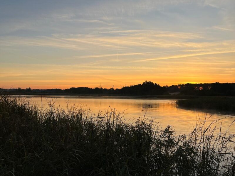 Yoga & Ernährung - Mehr Energie durch Aktivierung des Stoffwechsels nach der Inneren Körperuhr