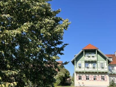 Yoga & Ernährung - Mehr Energie durch Aktivierung des Stoffwechsels nach der Inneren Körperuhr