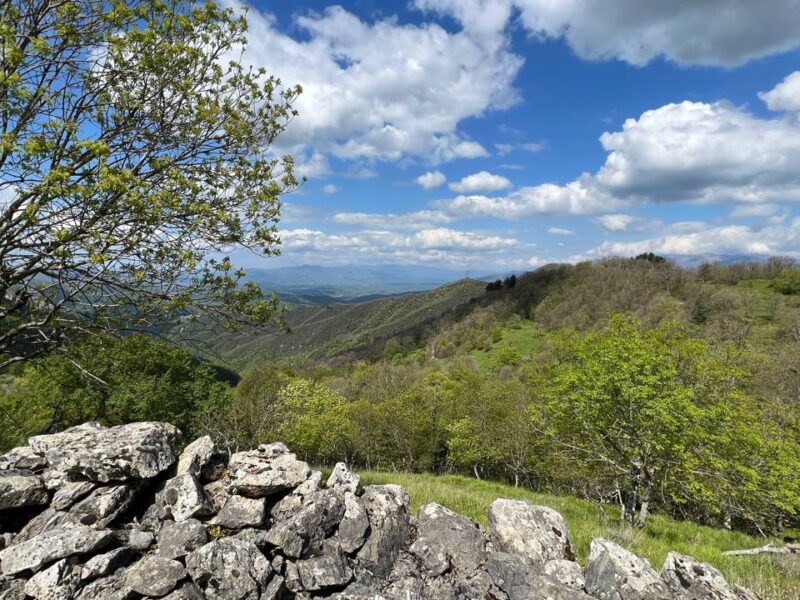 Visionssuche - 12 tägiges InitiationsRitual incl. 4 Tagen Solozeit / Friaul Italien