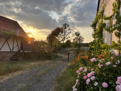 Berufliche Neuorientierung: Auszeit (nicht nur) zum Jahreswechsel