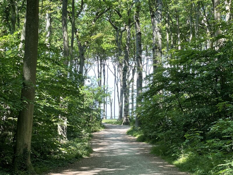 Ostseeretreat "Winterwende" Fühlen und Loslassen