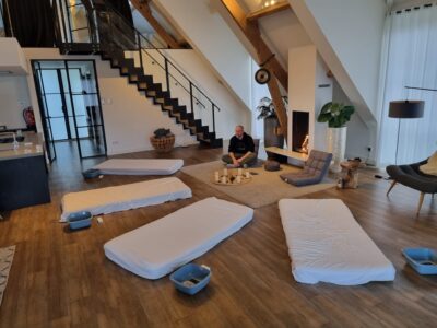 Psychedelisches Retreat für Einsteiger