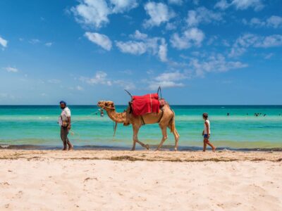 Seminarurlaub - Persönlichkeitsentwicklung mit Pferdecoaching & Tangoessenz