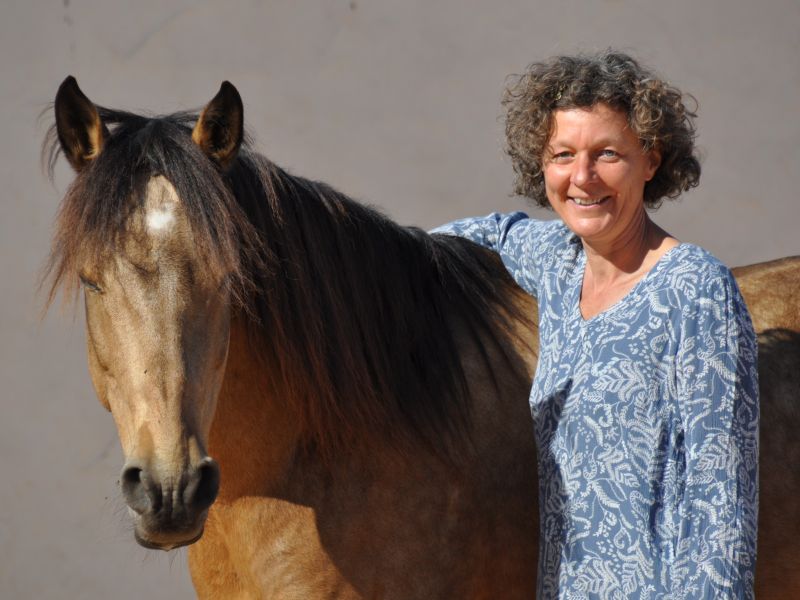 Persönlichkeitsentwicklung - Seminarurlaub mit Pferdecoaching & Tangoessenz