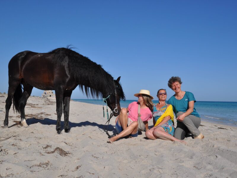 Inselretreat - Persönlichkeitsentwicklung mit Pferdecoaching & Tangoessenz