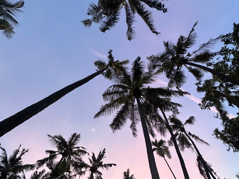 LIVE YOUR S.E.L.F. - Psychologisches Coaching-Retreat für ein Leben im Flow voller Sinn. Energie. Liebe. Freude. Mit Yoga, Meditation und 9D Breathwork