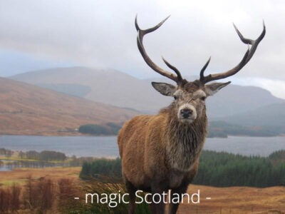 RECONNECT Retreat | Schottland - Leadership-Auszeit für Führungskräfte mit max. 6 Teilnehmenden