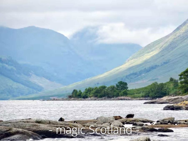 RECONNECT Retreat | Schottland - Leadership-Auszeit für Führungskräfte mit max. 6 Teilnehmenden
