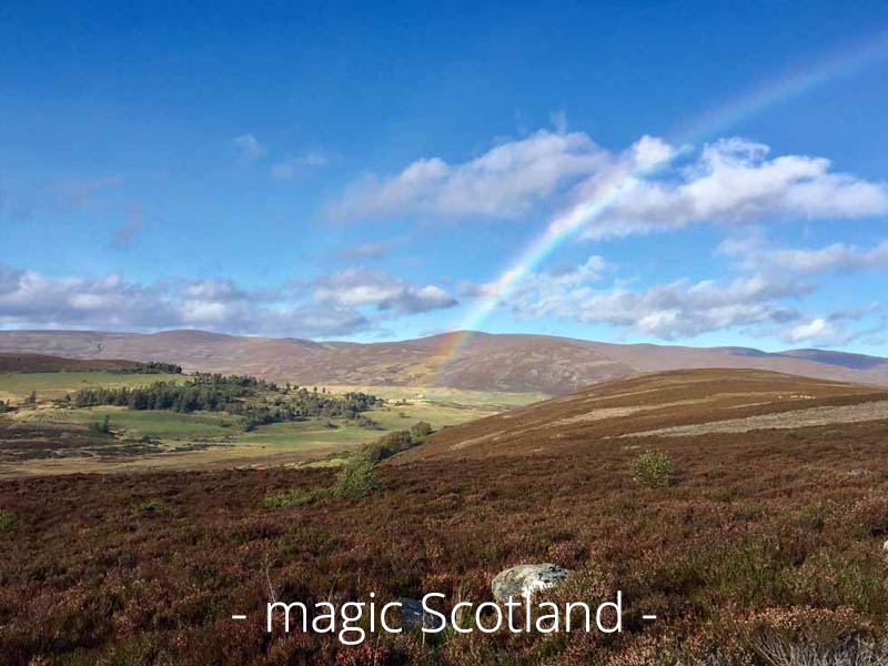 RECONNECT Retreat | Schottland - Leadership-Auszeit für Führungskräfte mit max. 6 Teilnehmenden
