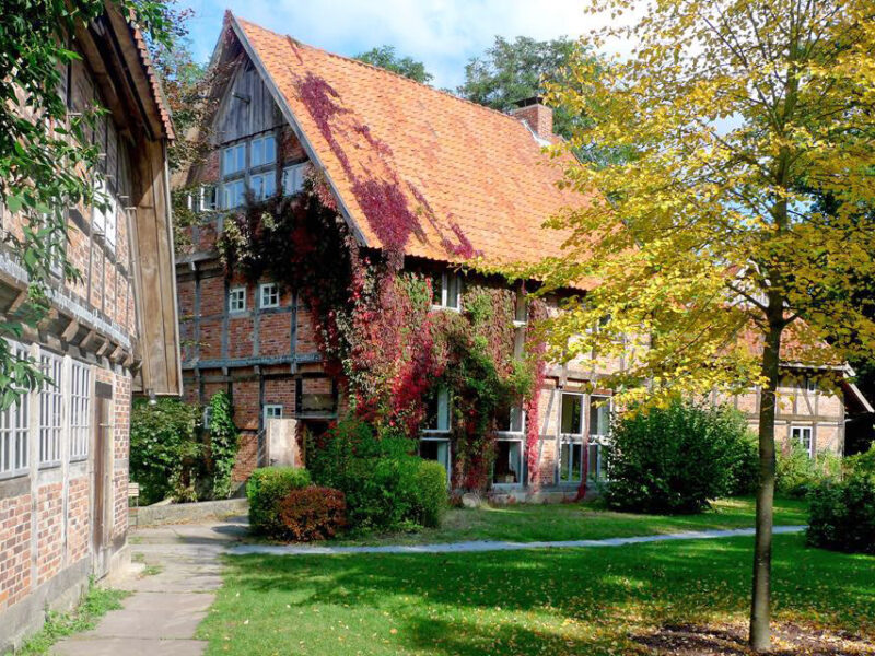 The Art of Yin - Yogaretreat