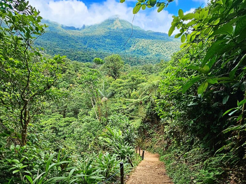 ME . TIME Retreat in Costa Rica ☀️ einfach [nur] leben!