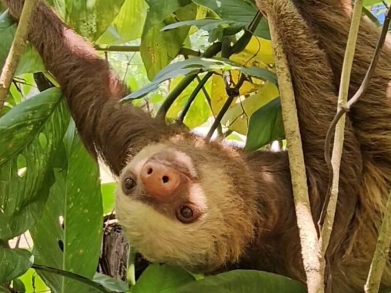 ME . TIME Retreat in Costa Rica ☀️ einfach [nur] leben!