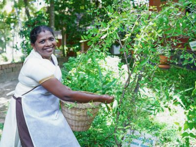 Ayurveda-Gruppenreise nach Kerala, Indien