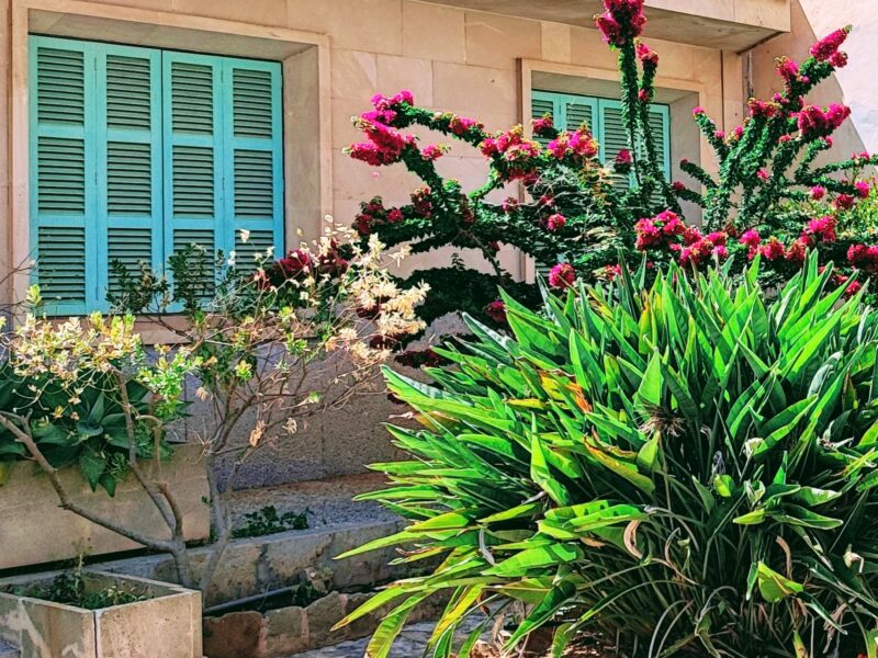 Zeit für berufliche Veränderung: Gönne dir eine Auszeit auf Mallorca und finde deinen Feelgoodjob!