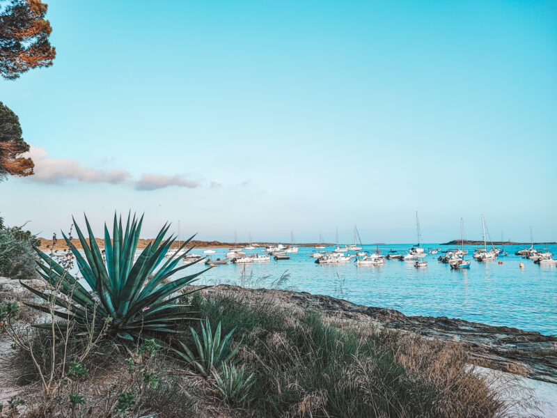 Zeit für berufliche Veränderung: Gönne dir eine Auszeit auf Mallorca und finde deinen Feelgoodjob!