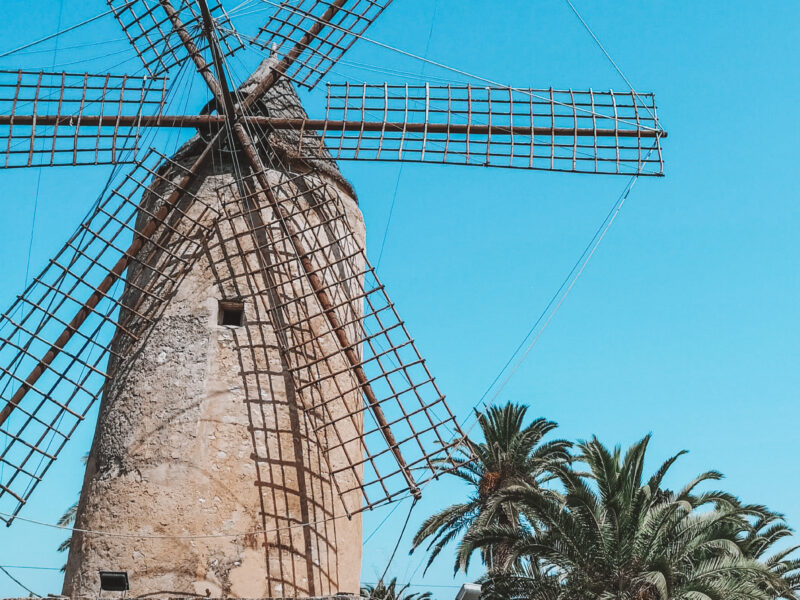 Zeit für berufliche Veränderung: Gönne dir eine Auszeit auf Mallorca und finde deinen Feelgoodjob!