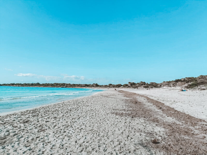 Zeit für berufliche Veränderung: Gönne dir eine Auszeit auf Mallorca und finde deinen Feelgoodjob!